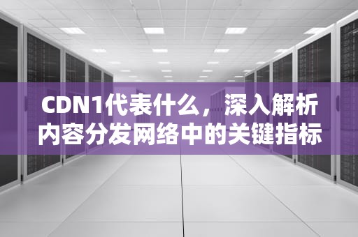 CDN1代表什么，深入解析内容分发网络中的关键指标，cdn指什么