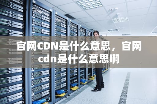 官网CDN是什么意思，官网cdn是什么意思啊