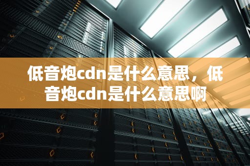 低音炮cdn是什么意思，低音炮cdn是什么意思啊