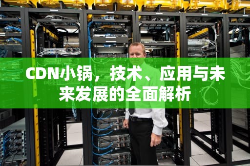 CDN小锅，技术、应用与未来发展的全面解析