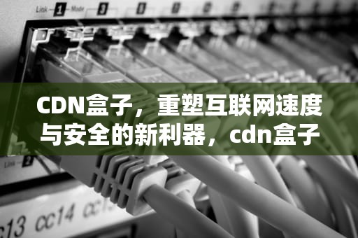 CDN盒子，重塑互联网速度与安全的新利器，cdn盒子赚钱骗局