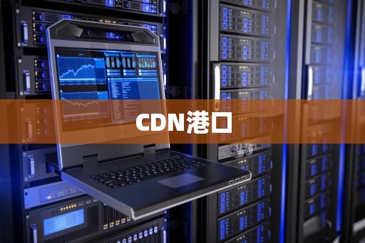 CDN港口