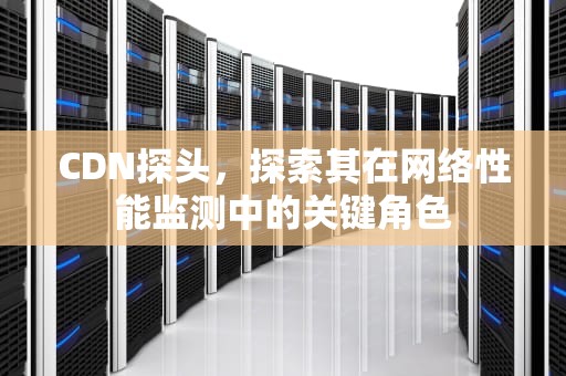 CDN探头，探索其在网络性能监测中的关键角色