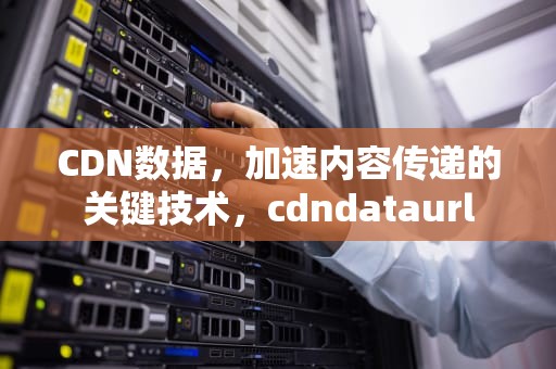 CDN数据，加速内容传递的关键技术，cdndataurl