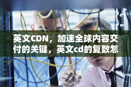 英文CDN，加速全球内容交付的关键，英文cd的复数怎么写