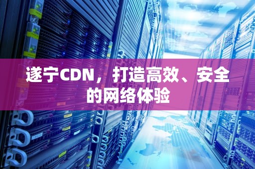 遂宁CDN，打造高效、安全的网络体验