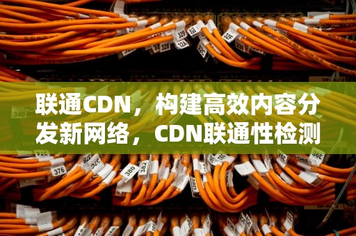 联通CDN，构建高效内容分发新网络，CDN联通性检测