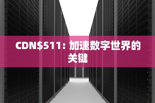 CDN$511: 加速数字世界的关键