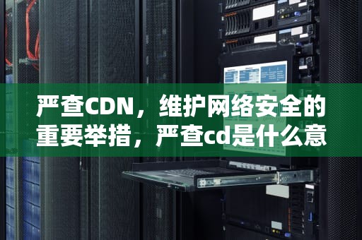 严查CDN，维护网络安全的重要举措，严查cd是什么意思