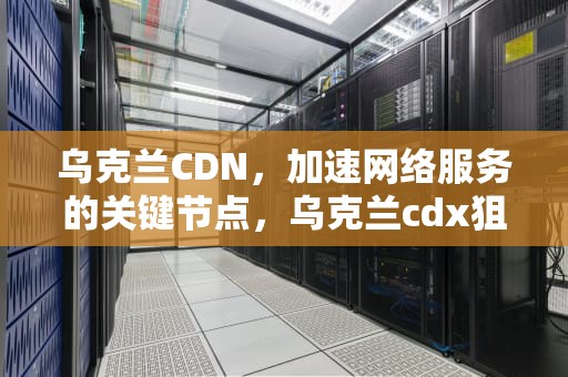 乌克兰CDN，加速网络服务的关键节点，乌克兰cdx狙击步枪