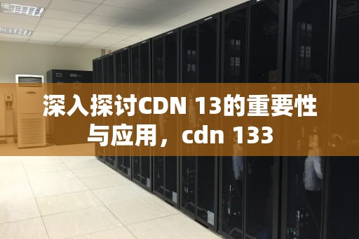 深入探讨CDN 13的重要性与应用，cdn 133