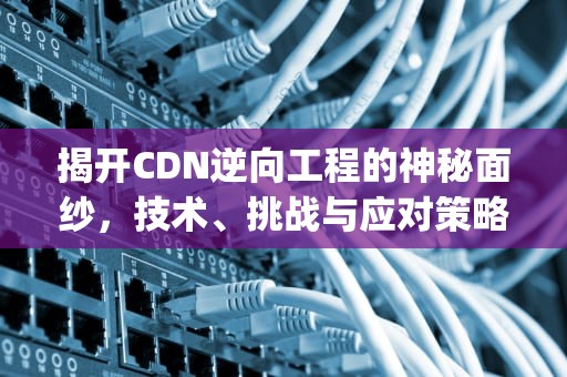 揭开CDN逆向工程的神秘面纱，技术、挑战与应对策略，cdn逆向ip什么意思
