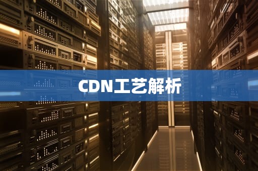 CDN工艺解析