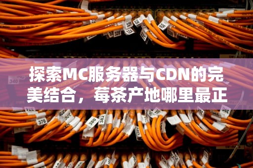 探索MC服务器与CDN的完美结合，莓茶产地哪里最正宗