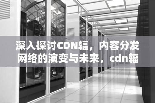 深入探讨CDN辐，内容分发网络的演变与未来，cdn辐射测试