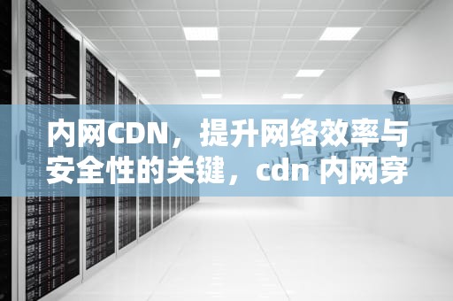 内网CDN，提升网络效率与安全性的关键，cdn 内网穿透