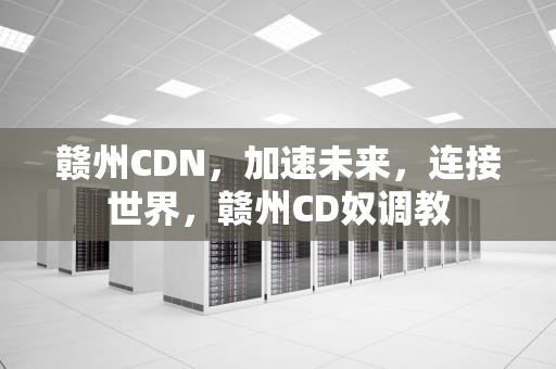 赣州CDN，加速未来，连接世界，赣州CD奴调教