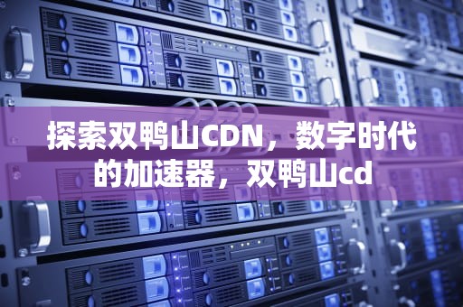 探索双鸭山CDN，数字时代的加速器，双鸭山cd
