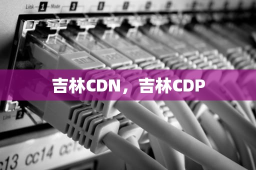 吉林CDN，吉林CDP