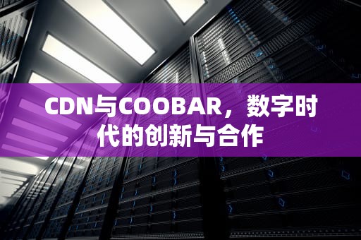 CDN与COOBAR，数字时代的创新与合作