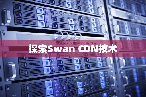 探索Swan CDN技术