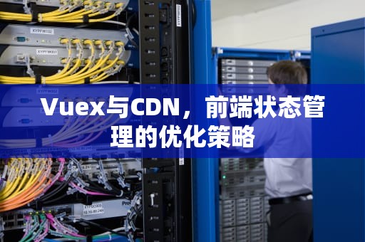 Vuex与CDN，前端状态管理的优化策略