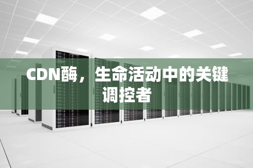 CDN酶，生命活动中的关键调控者