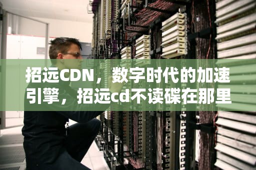 招远CDN，数字时代的加速引擎，招远cd不读碟在那里修