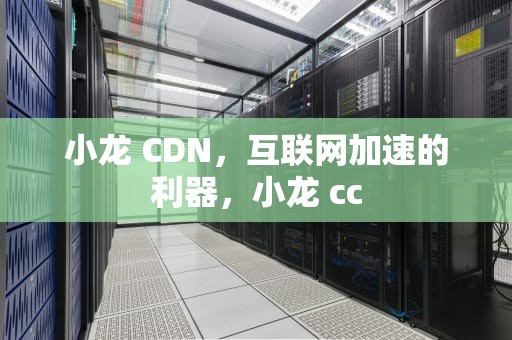 小龙 CDN，互联网加速的利器，小龙 cc