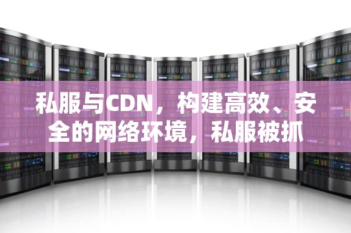 私服与CDN，构建高效、安全的网络环境，私服被抓