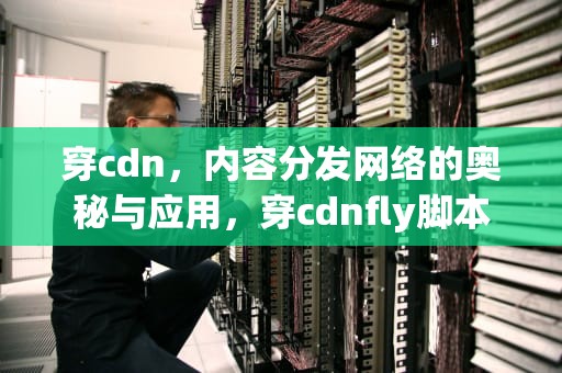 穿cdn，内容分发网络的奥秘与应用，穿cdnfly脚本