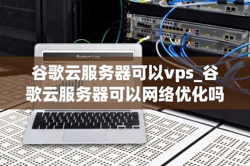 谷歌云服务器可以vps_谷歌云服务器可以网络优化吗_谷歌云服务器的VPS服务及其应用