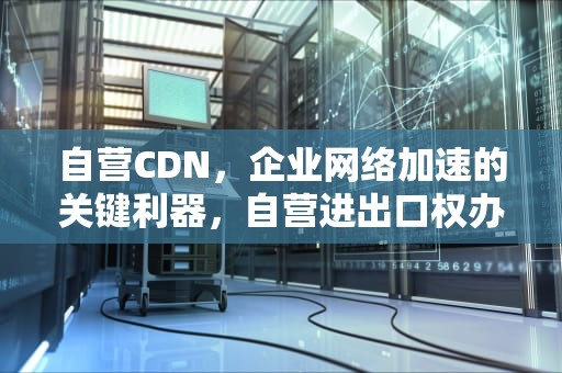 自营CDN，企业网络加速的关键利器，自营进出口权办理流程