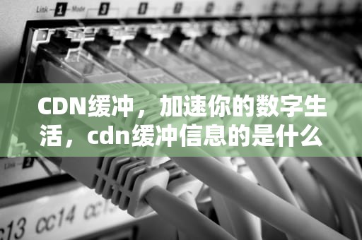 CDN缓冲，加速你的数字生活，cdn缓冲信息的是什么