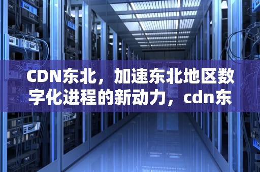 CDN东北，加速东北地区数字化进程的新动力，cdn东北卡特尔