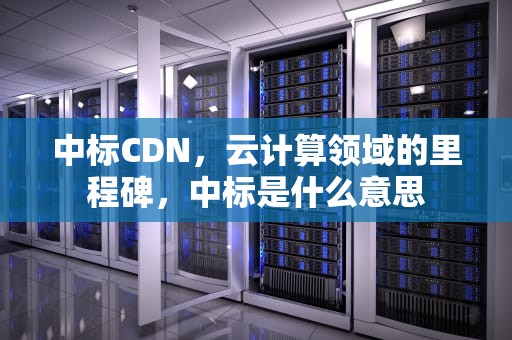中标CDN，云计算领域的里程碑，中标是什么意思