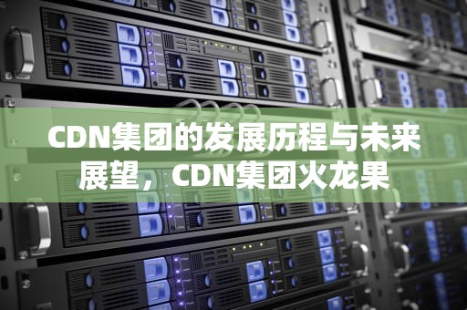 CDN集团的发展历程与未来展望，CDN集团火龙果