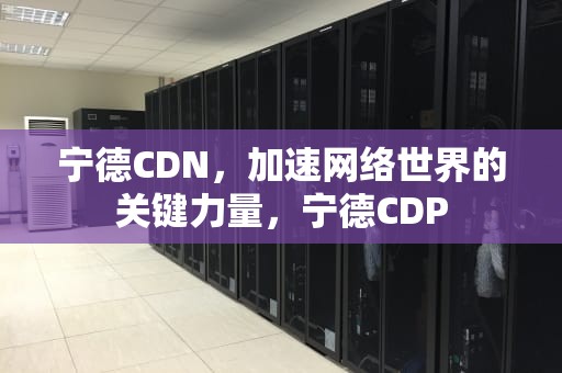 宁德CDN，加速网络世界的关键力量，宁德CDP