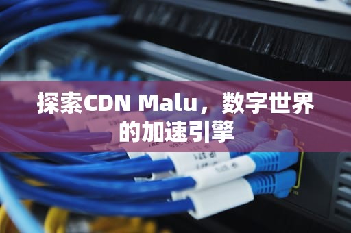 探索CDN Malu，数字世界的加速引擎