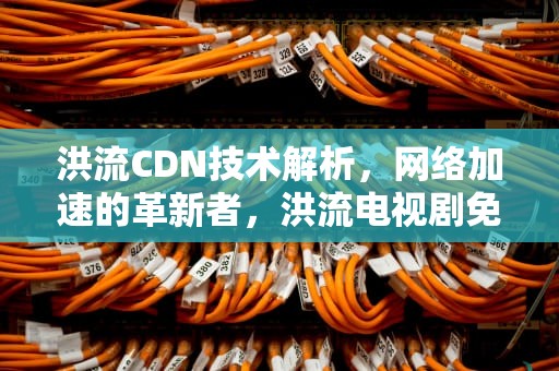 洪流CDN技术解析，网络加速的革新者，洪流电视剧免费观看全集