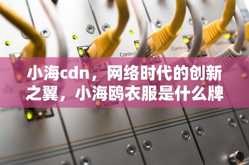 小海cdn，网络时代的创新之翼，小海鸥衣服是什么牌子