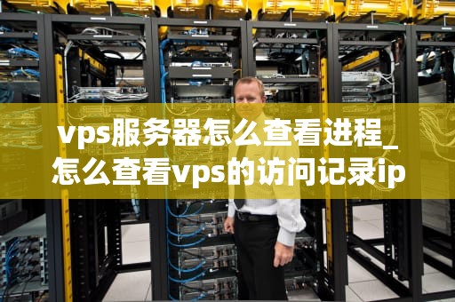 vps服务器怎么查看进程_怎么查看vps的访问记录ip_深入理解VPS服务器进程查看方法