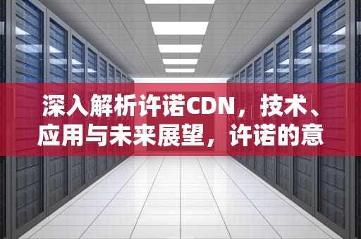 深入解析许诺CDN，技术、应用与未来展望，许诺的意思