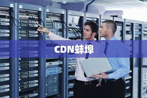 CDN蚌埠