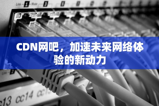 CDN网吧，加速未来网络体验的新动力