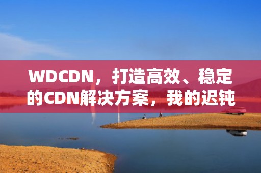WDCDN，打造高效、稳定的CDN解决方案，我的迟钝女友小维全本免费阅读