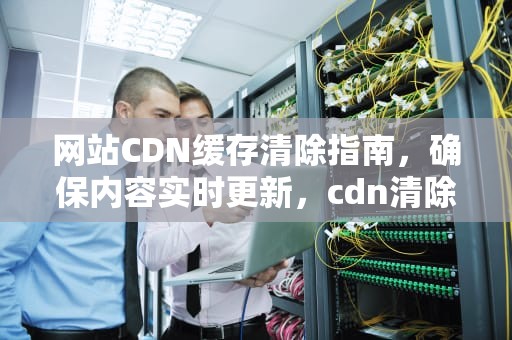网站CDN缓存清除指南，确保内容实时更新，cdn清除缓存