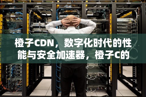橙子CDN，数字化时代的性能与安全加速器，橙子C的暖时光
