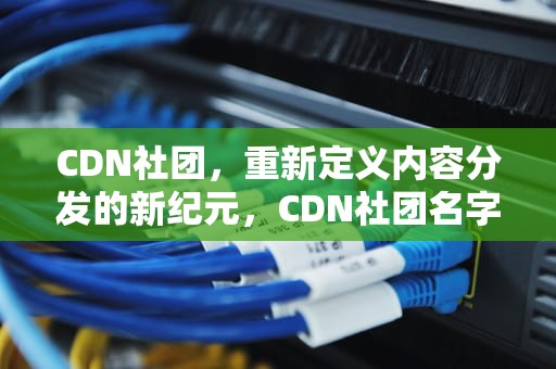 CDN社团，重新定义内容分发的新纪元，CDN社团名字