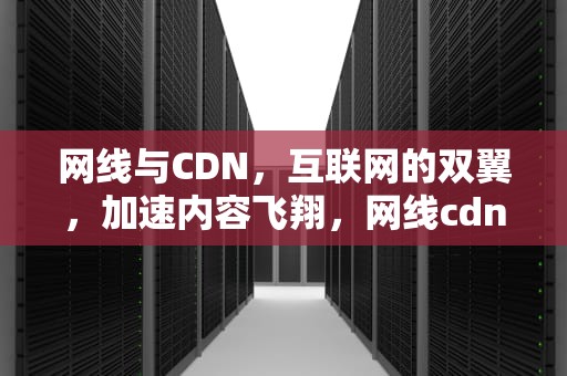 网线与CDN，互联网的双翼，加速内容飞翔，网线cdn是什么意思
